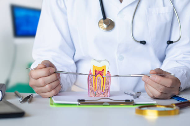 Best Weekend Emergency Dentist in Boston Heights, OH